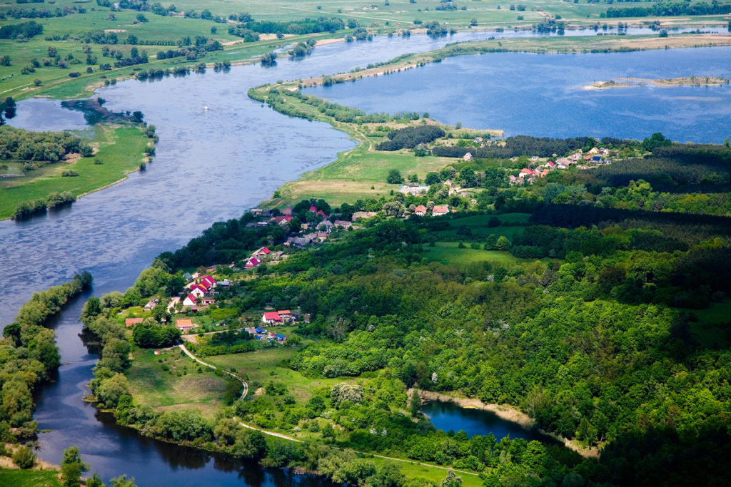 Bielinek