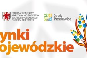 dozynki_wojewodzkie_2023-1