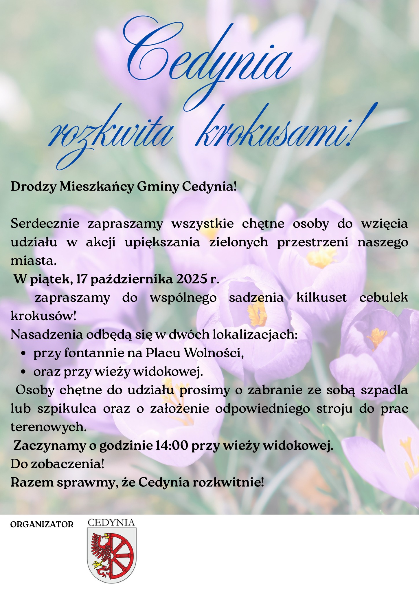 Cedynia rozkwita krokusami – zapraszamy do wspólnego sadzenia!