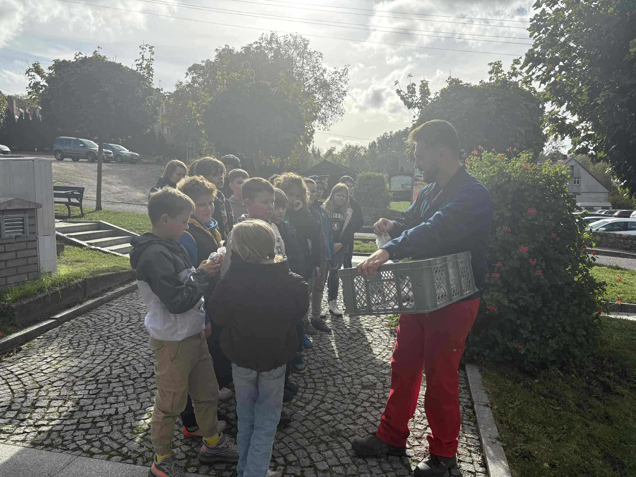 Ponad 1000 krokusów dla Cedyni!