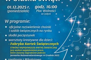 Już 1 grudnia Cedynia rozbłyśnie świątecznym światłem!