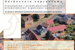 Spotkanie warsztatowe