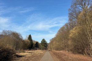 Prace porządkowe na ścieżce rowerowej Trasa Pojezierzy Zachodnich