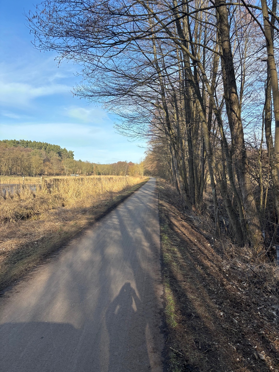 Prace porządkowe na ścieżce rowerowej Trasa Pojezierzy Zachodnich